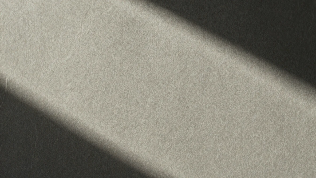 Blind deboss details on heavy cotton paper stock, indirect morning window light
